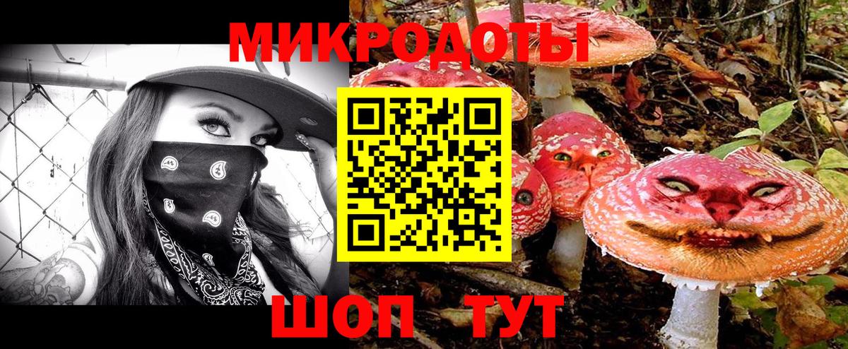 Луга  Псилоцибиновые грибы Psilocybe  продажа наркотиков  Вход с VPN 
